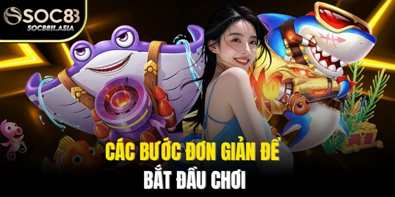 Các bước đơn giản để bắt đầu chơi