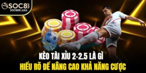 Kèo Tài Xỉu 2-2.5 Là Gì - Hiểu Rõ Để Nâng Cao Khả Năng Cược